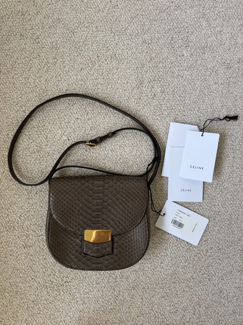 EUC Celine Small Trotteur Dark Taupe Python Crossbody bag Gold tone hardware